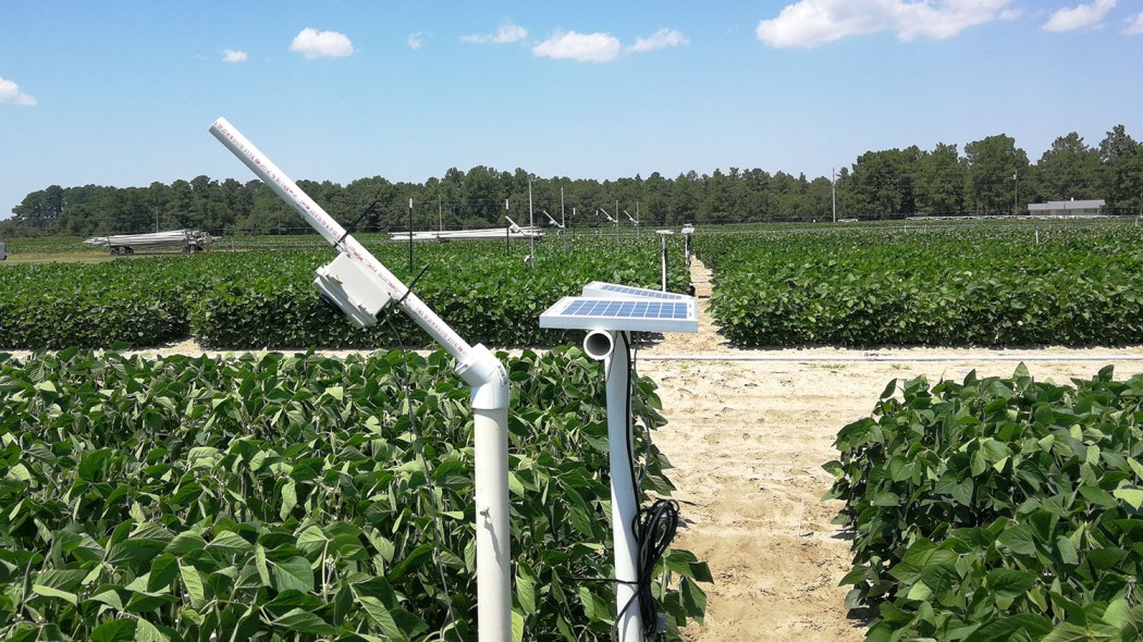 Challenges and Solutions in the Adoption of Improved Arable ...