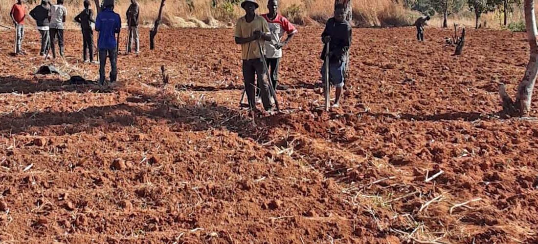 Rain Fed in Agriculture